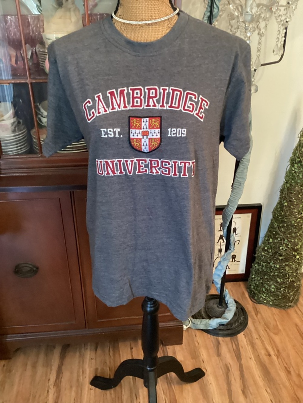 Cambridge University Grey Graphic T-Shirt